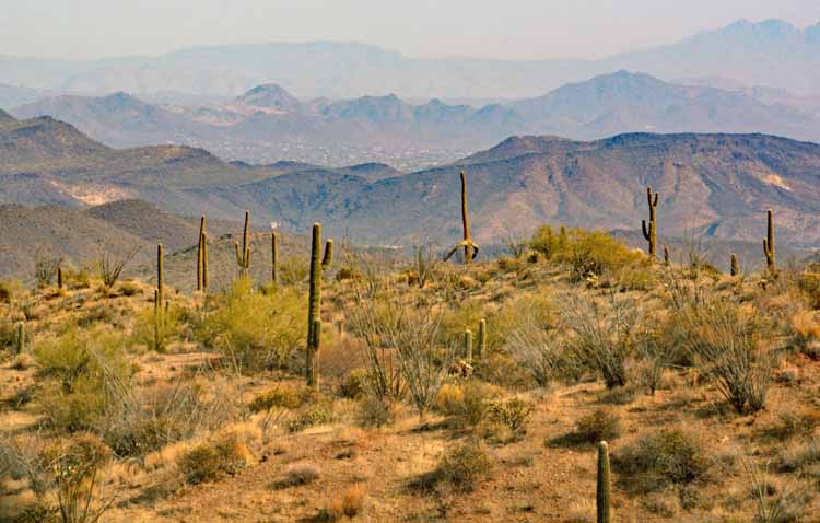 off-road trail